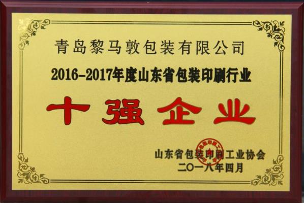 13.) Shandong Top 10 Enterprise Award (printing industry)